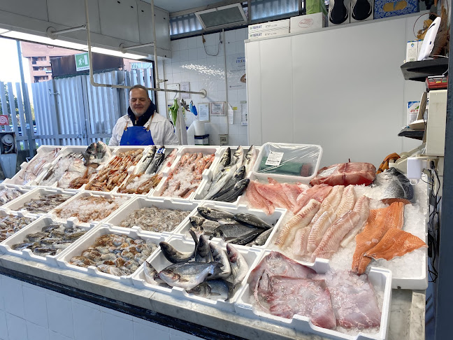 Pesce Frutti Di Mare Di Benvenga A.