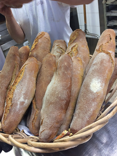 Comentarii opinii despre Panificio Arte Del Pane