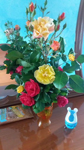 Ristorante Pizzeria Il Morello - Arielli