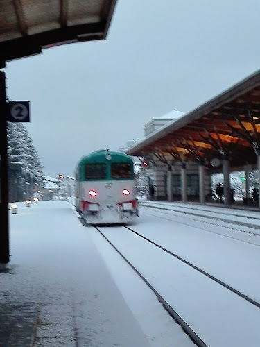 Opinii despre Ristorante Pizzeria Minuetto în Pergine Valsugana - Ristorazione