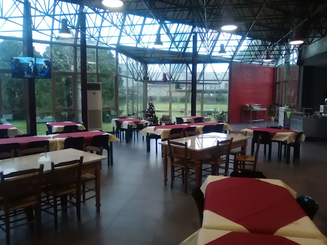 Artemide Cibo E Musica - Martinsicuro