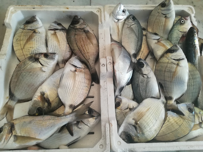 Via Ferdinando Magellano, 7, 92016 Seccagrande AG