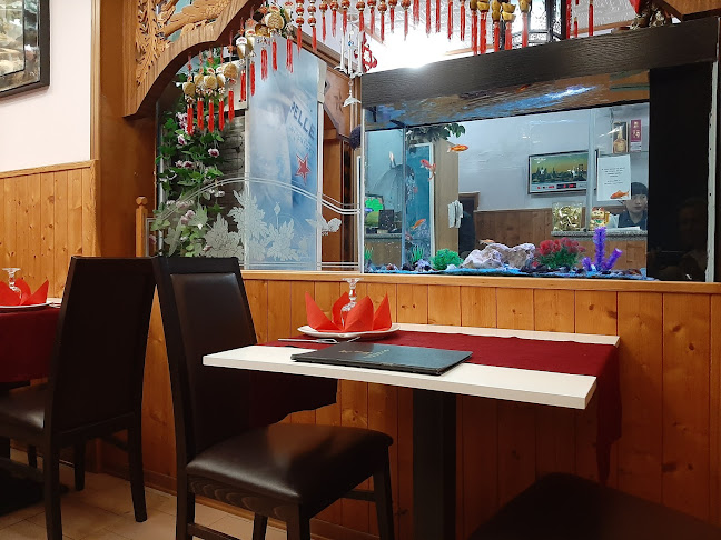 Ristorante Pechino di Zhou Lijiao - Salsomaggiore Terme