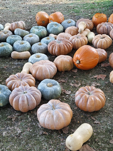 Puravida - Ristorazione