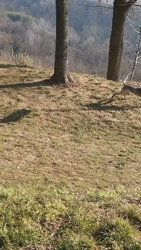 Reviews of Ristorante Da Angelino in Torino - Ristorazione