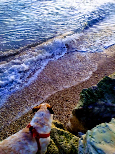 Stab.Balneare Blub 37 - Porto Sant'Elpidio