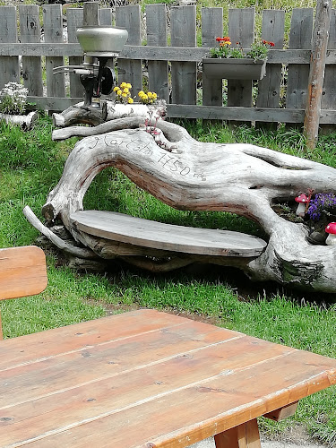 Comentarii opinii despre Baita Martalm