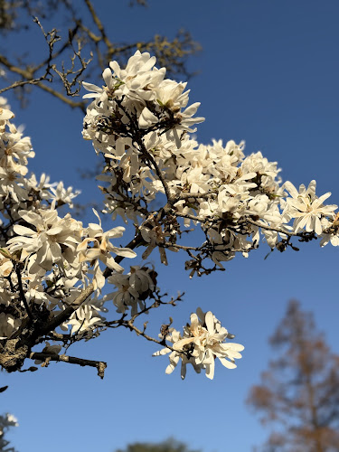 Fortezza 59 - Ristorazione