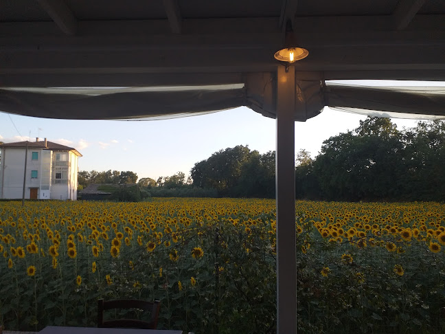 Pecora Nera Pub & Pizzeria - Senigallia