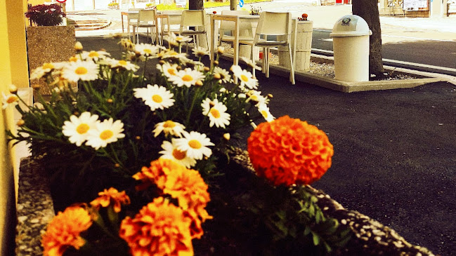 Opinii despre Pizzeria Da Fiordi în Gualdo Tadino - Ristorazione