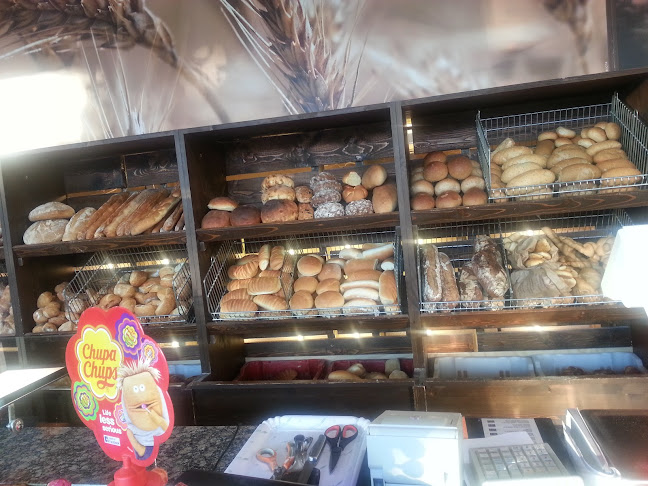 Rudis Materias - Ristorazione