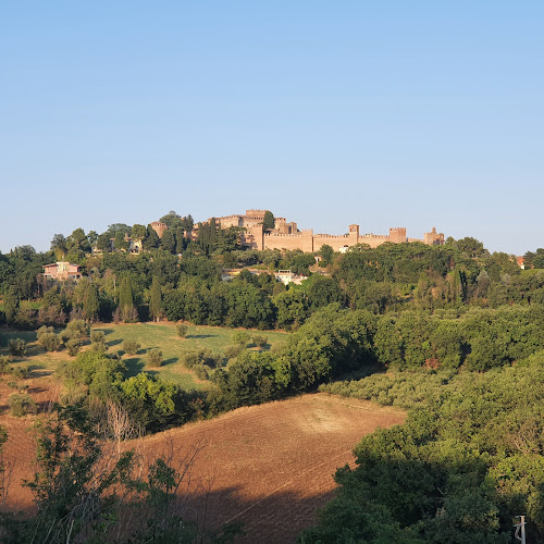 Ristorante La Casaccia - Ristorazione
