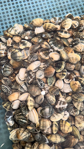 Opinii despre Marintavola sas în Anzio - Ristorazione