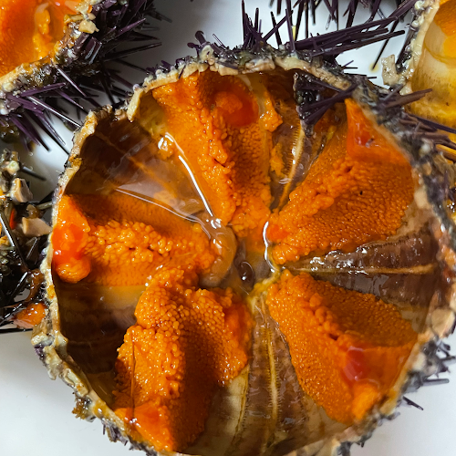 Comentarii opinii despre Carlo Ferraioli