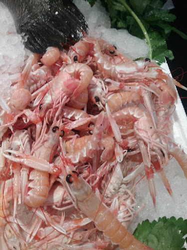 la Boutique del pesce Cave - Cave