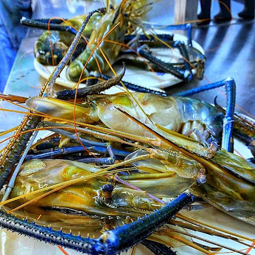 MARENUESCIU CUCINA TIPICA MARINARA - Squinzano