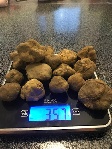 Via Francesco Maria Giancardi, 11, 17021 Alassio SV