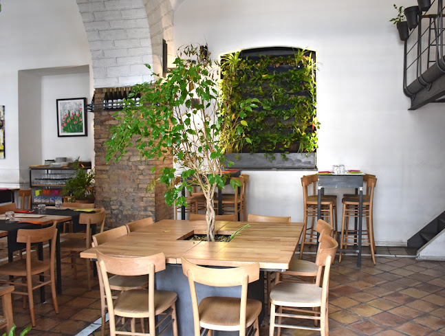 Ristorante Vitto Pitagorico (Vegan-Vegetariano-Gluten Free) - Ristorazione