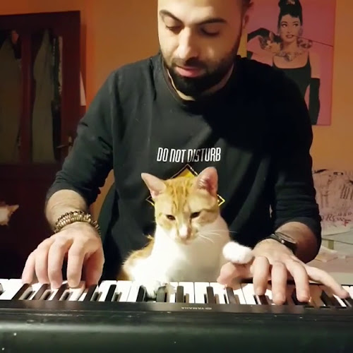 Opinii despre Cantina del Bivio în Canale - Ristorazione