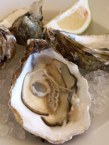 Ristorante Mergellina di Colantuono Rosario - Itri