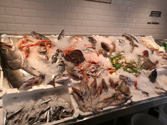 Geloclub Genova - Genova