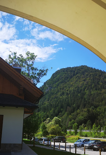 Opinii despre Ristorante Pizzeria Papillo în Tarvisio - Ristorazione