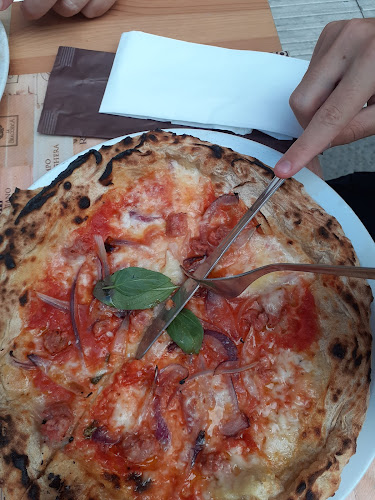 Comentarii opinii despre Ad Arte 3.0