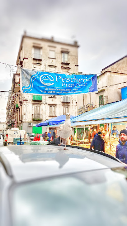 Pescheria Pizzi Pizzi di D'Anna Vincenzo