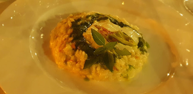 Il Podere del Germano Reale Open Times