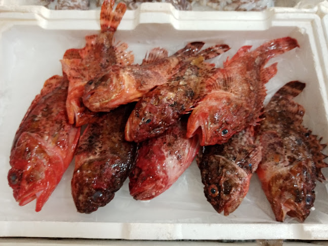 Pescheria Giannuzzi - Ristorazione