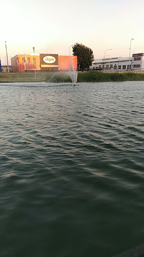 Opinii despre Roadhouse Restaurant Imola în Imola - Ristorazione