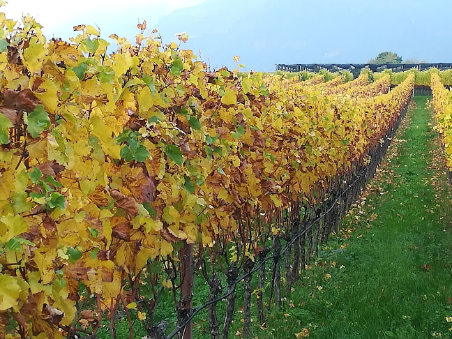 Via Casa di Gesù, 17, 39057 Cornaiano BZ