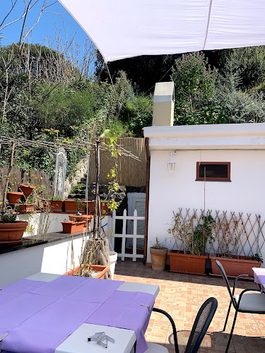 Comments and reviews of Ristorante La Terrazza di Mimi