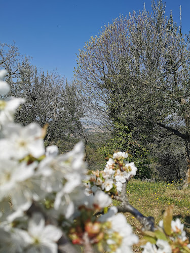 Chiaracongusto - Ristorazione