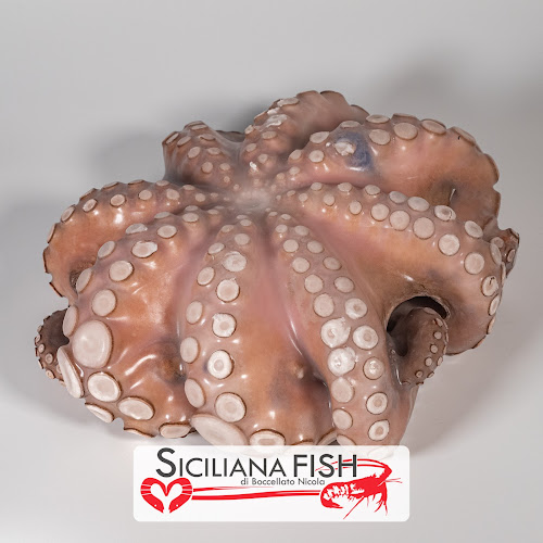 Comentarii opinii despre SicilianaFish Punto Vendita