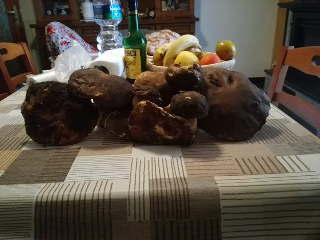 Il Tronchetto - San Marzano sul Sarno