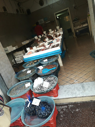 Pescheria Marconi