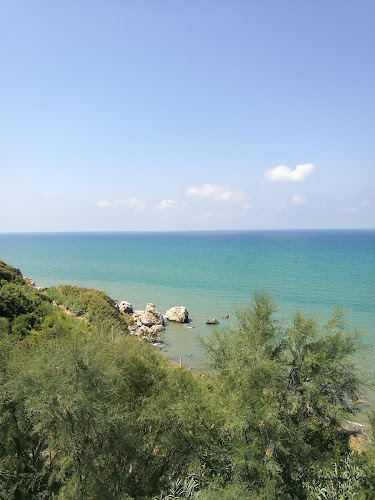 Comments and reviews of Il Chioschetto Biricchino