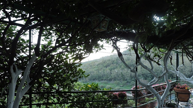 Comments and reviews of Ristorante Pizzeria al Limoneto