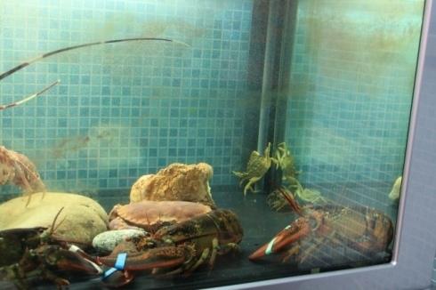 Via Zingone, 35, 03039 Sora FR