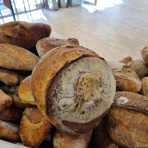 Via Giuseppe Pipitone Federico, 63, 90144 Palermo PA