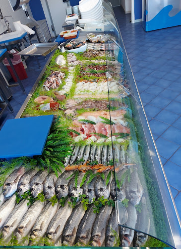 Pescheria Oceano Squinzano di Maci Jennifer - Squinzano