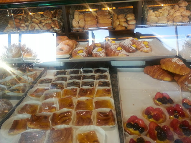 Comentarii opinii despre Rudis Materias