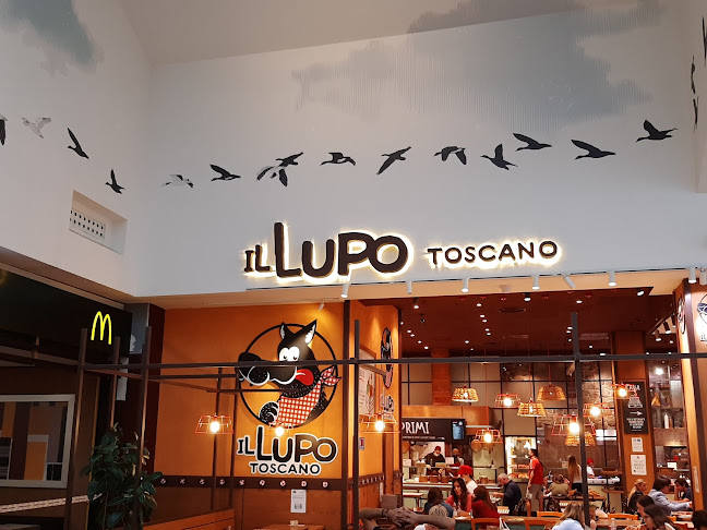 Opinii despre Il Lupo Toscano în Campi Bisenzio - Ristorazione