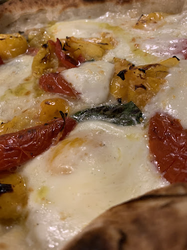 Comentarii opinii despre TIPO1