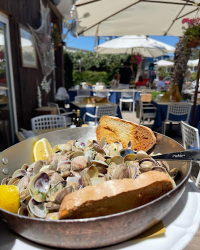 Ristorante Scipulein, osteria di mare - Rimini