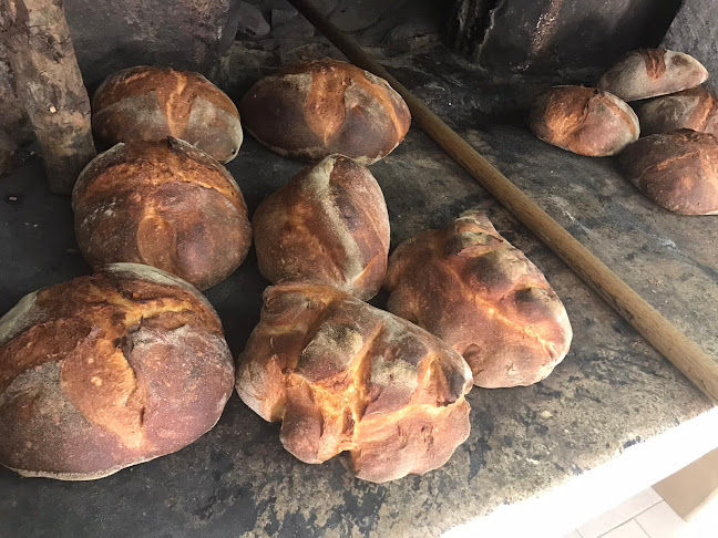 Forno a legna Delle Cappelle - Altamura