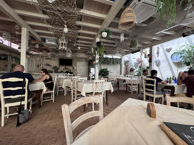 Ci Ritorno 2.2 - Pontedera