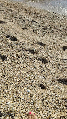 Crystal 37 | Ristorante Pizzeria - Bar - Stabilimento Balneare Open Times