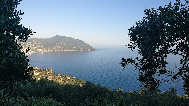 Reviews of Trattoria Al Serraglio in Sori - Ristorazione